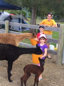 Kids feeding goats at Glenmack Park